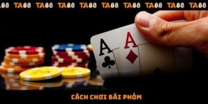 Cách Chơi Bài Phỏm - Hướng Dẫn Chi Tiết Từ A-Z Cho Người Mới